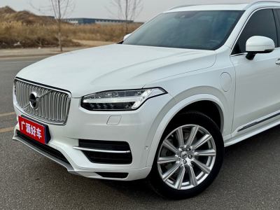 2019年1月 沃爾沃 XC90新能源(進(jìn)口) E驅(qū)混動(dòng) T8 智尊版 7座 國(guó)VI圖片