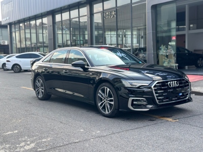 2024年09月 奥迪 奥迪A6L 40 TFSI 豪华动感型图片