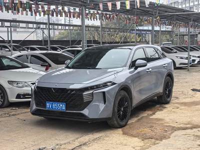 2022年5月 啟辰 啟辰大V 260T 定制版?愛(ài)豆圖片