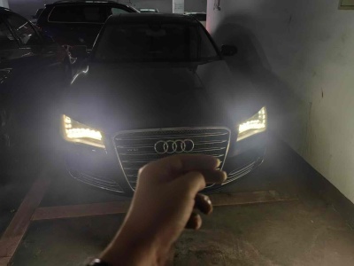 奥迪 奥迪A8(进口) A8L 6.3 FSI W12 quattro图片