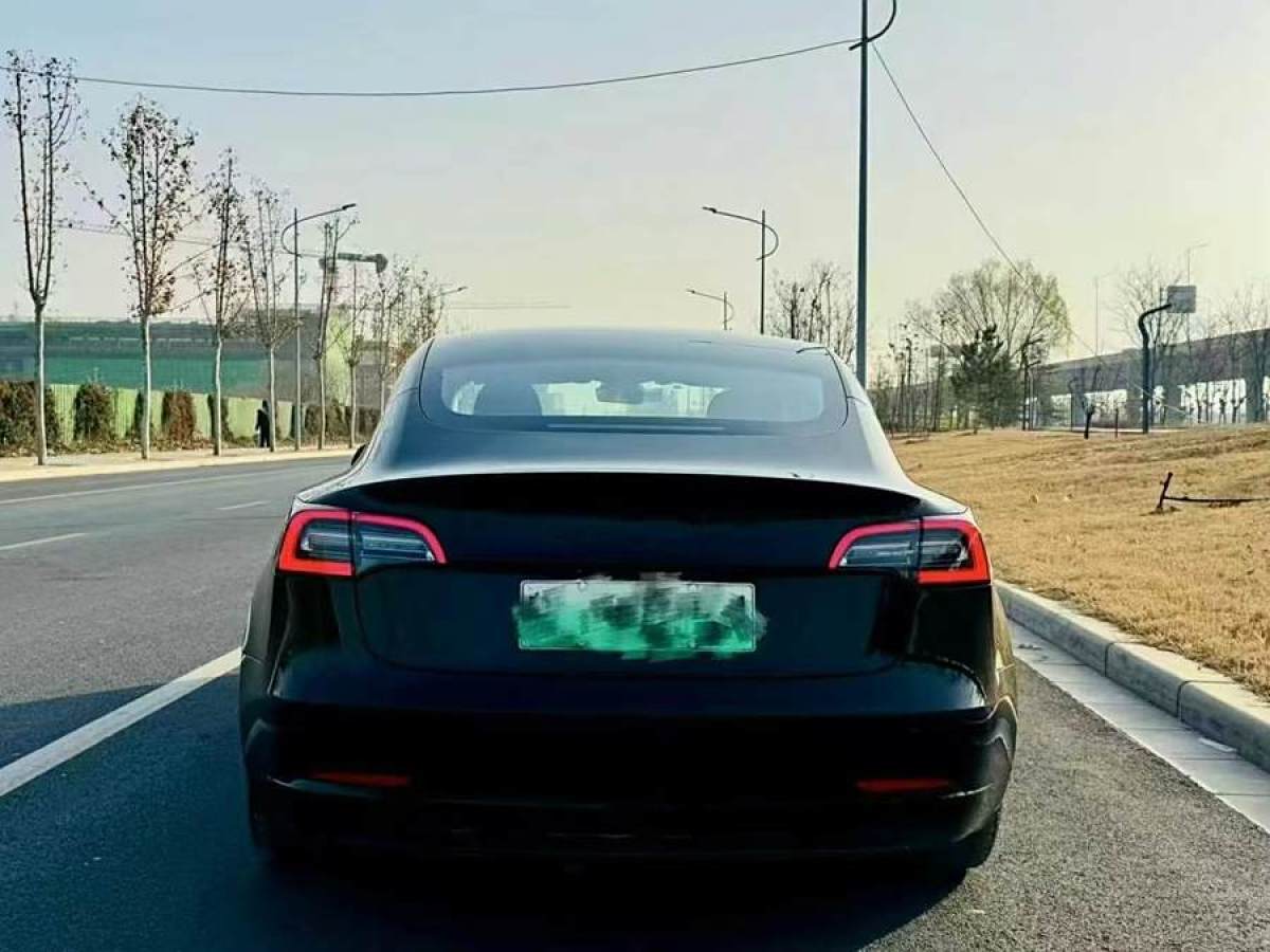 特斯拉 Model 3  2019款 標(biāo)準(zhǔn)續(xù)航后驅(qū)升級(jí)版圖片