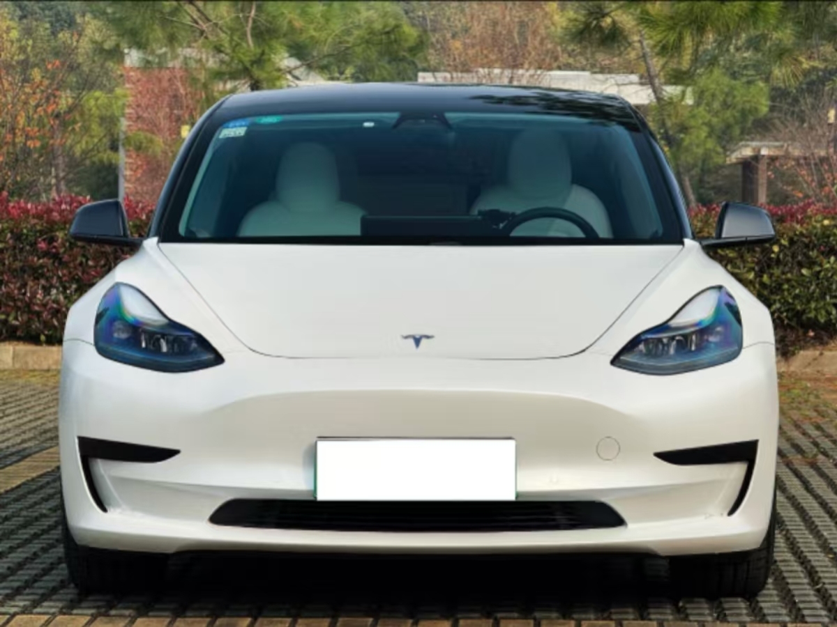 特斯拉 Model 3  2021款 標(biāo)準(zhǔn)續(xù)航后驅(qū)升級版 3D6圖片