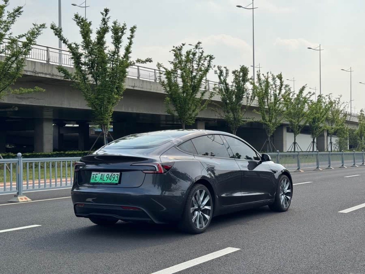 特斯拉 Model 3  2019款 長續(xù)航全輪驅(qū)動版圖片