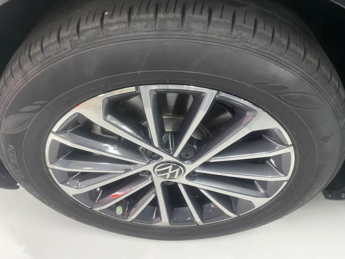大眾 邁騰  2021款 330TSI DSG 30周年紀(jì)念版圖片