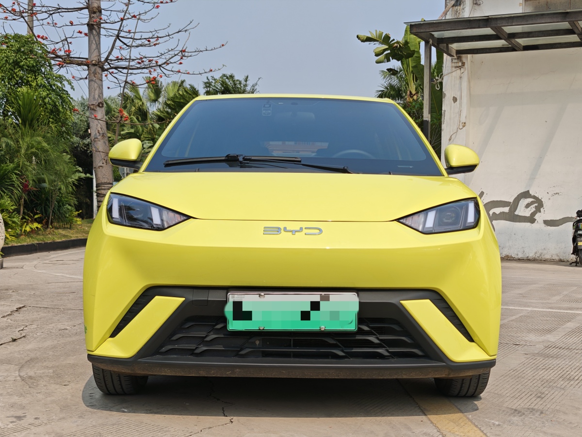 比亞迪 海鷗  2024款 榮耀版 405km 飛翔版圖片
