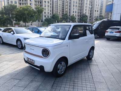 未上牌 吉利 熊猫mini 200km 耐力熊图片