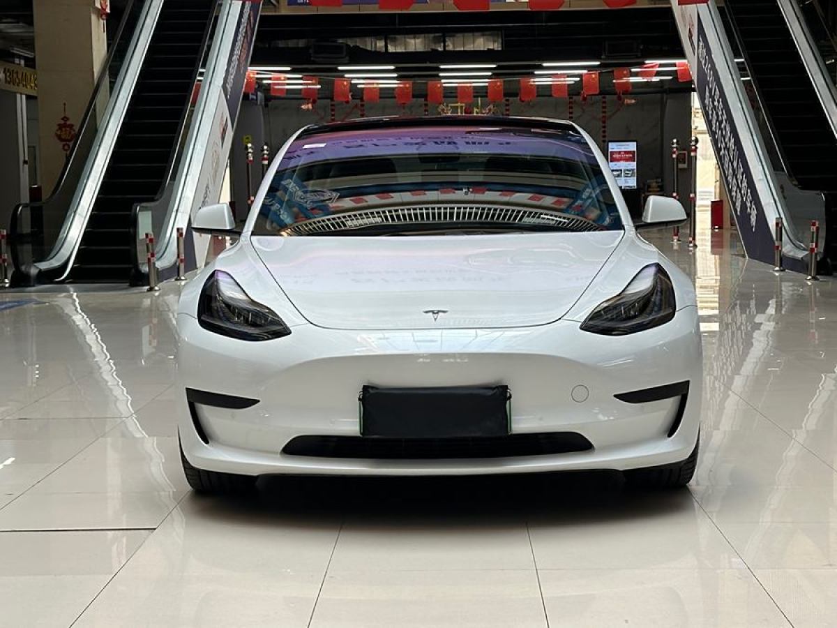 2021年4月特斯拉 Model Y  2021款 改款 標(biāo)準(zhǔn)續(xù)航后驅(qū)升級(jí)版