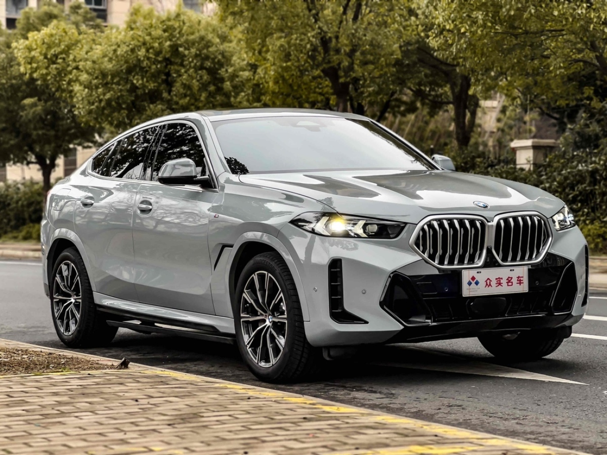 宝马 宝马X6  2023款 xDrive30i M运动套装图片