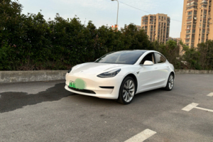 Model 3 特斯拉 标准续航后驱升级版