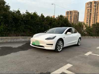 2020年7月 特斯拉 Model 3 標準續(xù)航后驅(qū)升級版圖片