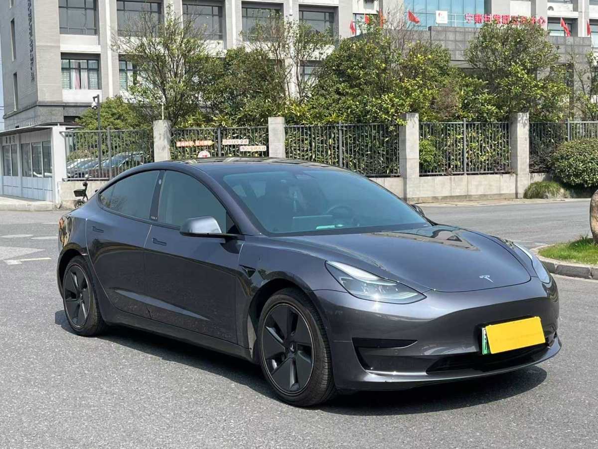 2021年1月特斯拉 Model 3  2020款 改款 標(biāo)準(zhǔn)續(xù)航后驅(qū)升級版