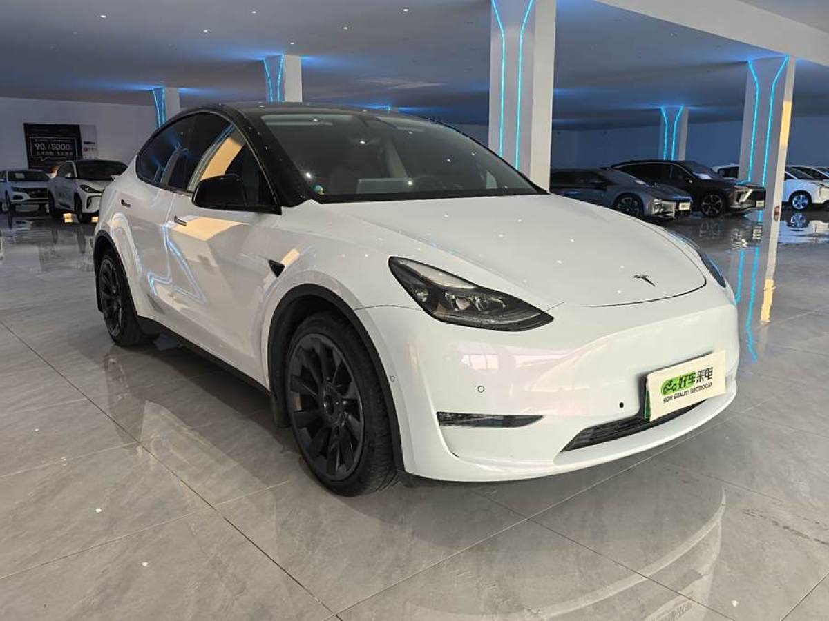 特斯拉 Model Y  2021款 長續(xù)航全輪驅(qū)動版 3D7圖片