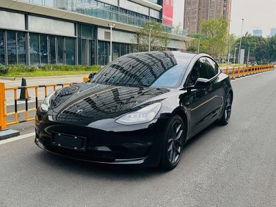 2021年3月 特斯拉 Model 3 Performance高性能全輪驅(qū)動(dòng)版圖片