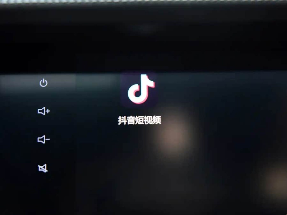 坦克 坦克300共創(chuàng)  2021款 2.0T 賽博坦克圖片