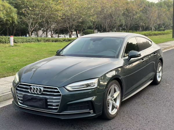 奥迪 奥迪A5  2019款 Cabriolet 40 TFSI 时尚型