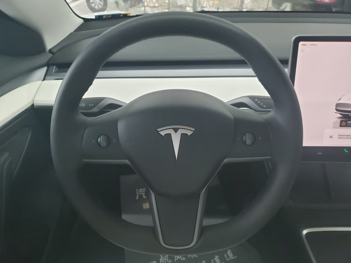 特斯拉 Model 3  2022款 Performance高性能全輪驅(qū)動版圖片
