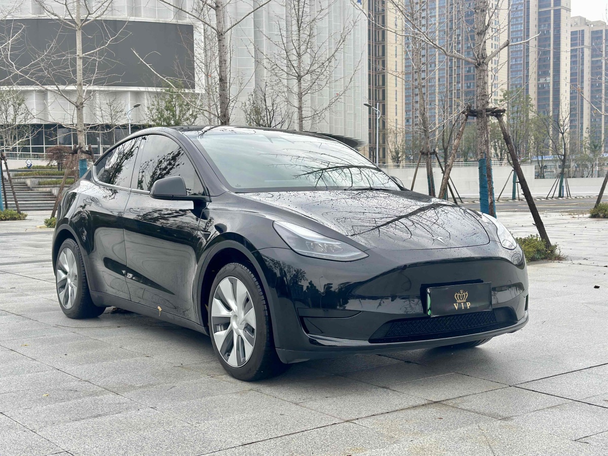 特斯拉 Model 3  2022款 后輪驅(qū)動(dòng)版圖片