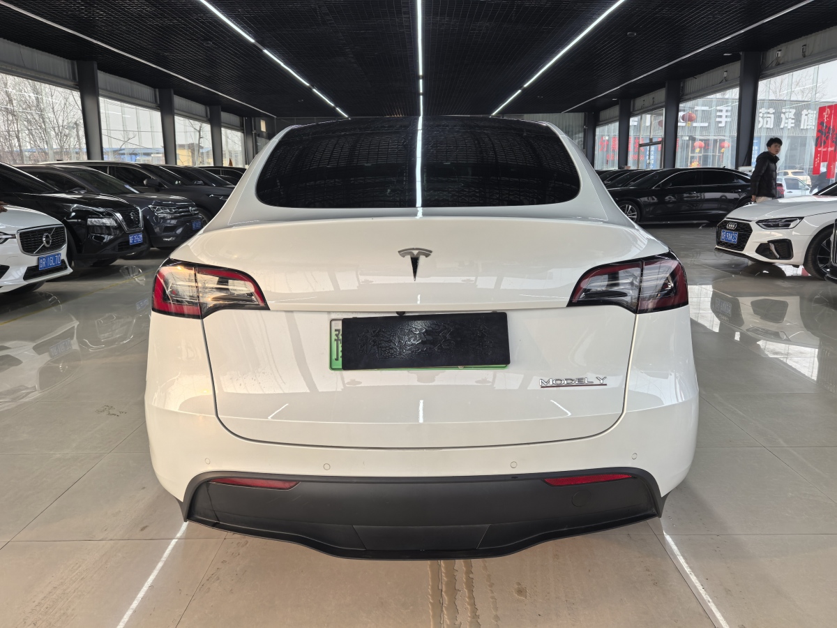 特斯拉 Model 3  2020款 改款 長續(xù)航后輪驅(qū)動版圖片