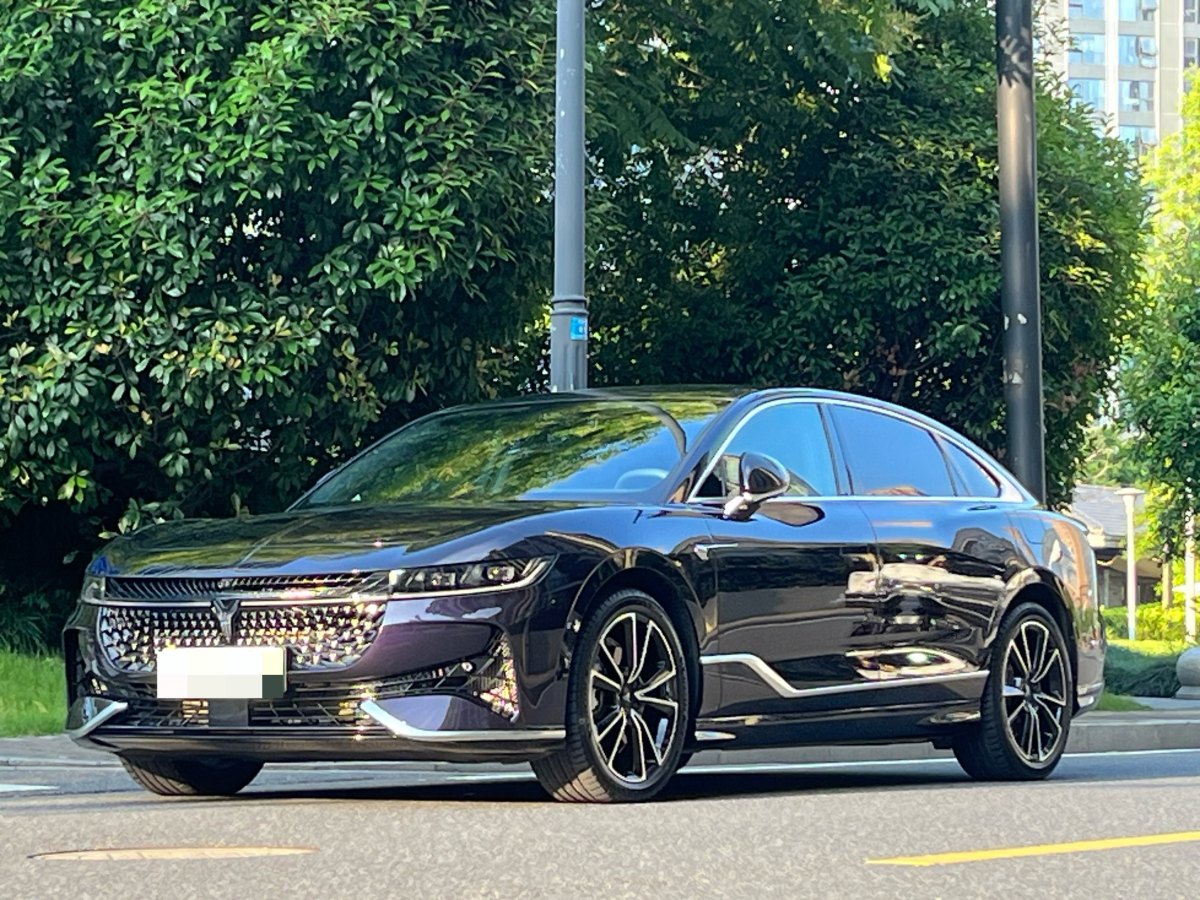 嵐圖 嵐圖追光  2024款 PHEV 四驅(qū)超長(zhǎng)續(xù)航旗艦版圖片