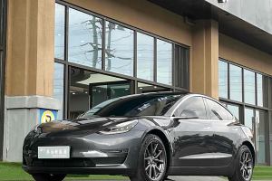 Model 3 特斯拉 长续航后驱版