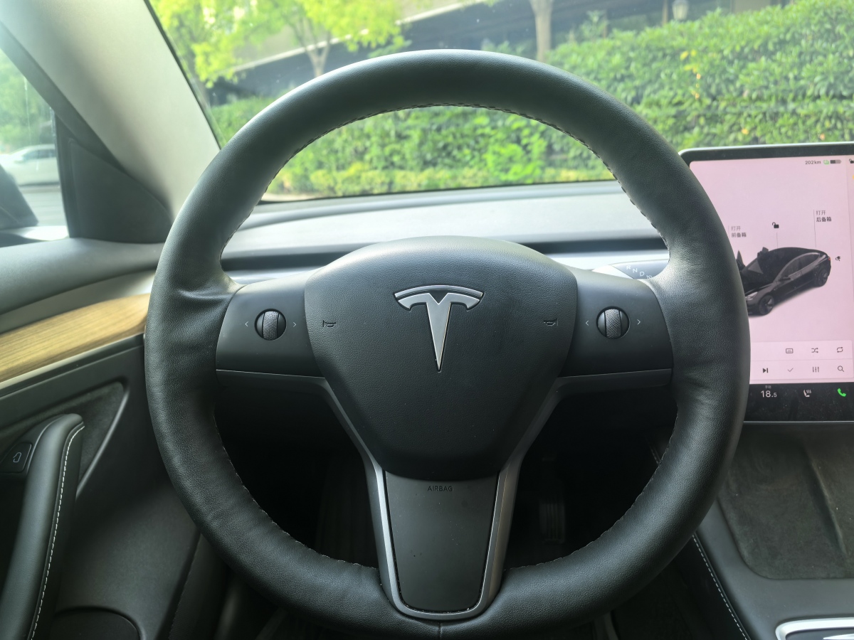 特斯拉 Model 3  2021款 標(biāo)準(zhǔn)續(xù)航后驅(qū)升級版 3D6圖片
