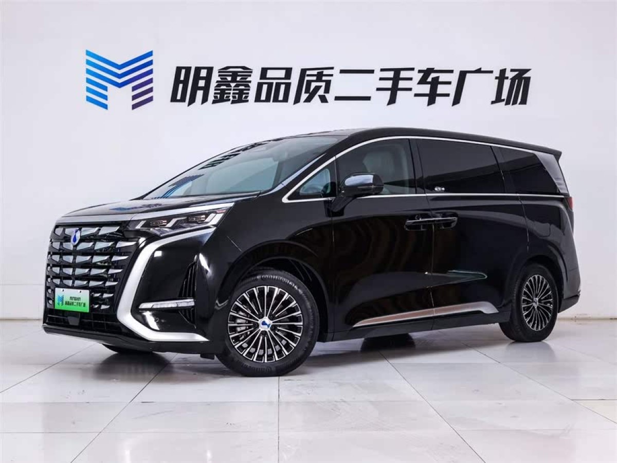 騰勢(shì) 騰勢(shì)D9  2022款 DM-i 1040 尊貴型圖片