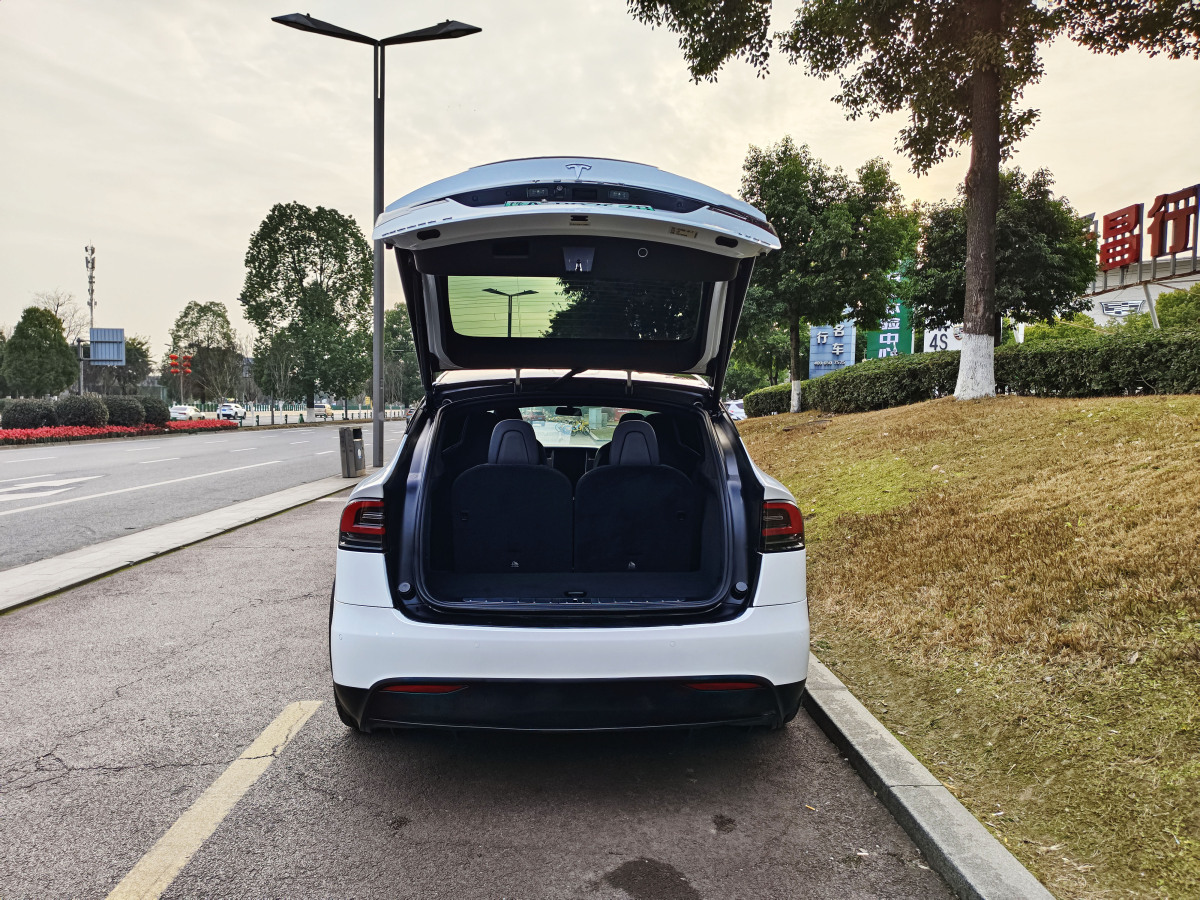 特斯拉 Model X  2017款 Model X 100D 長(zhǎng)續(xù)航版圖片