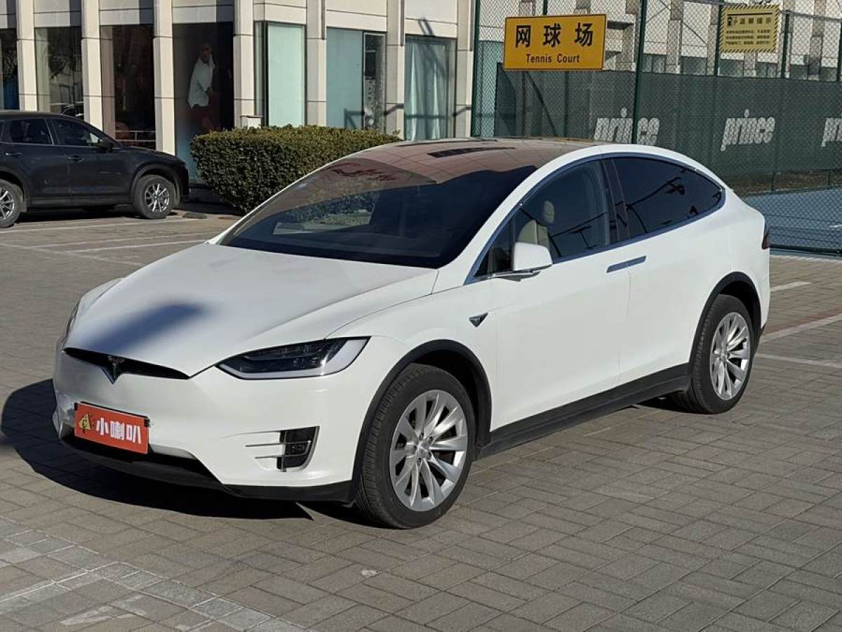 特斯拉 Model X  2016款 Model X 90D圖片