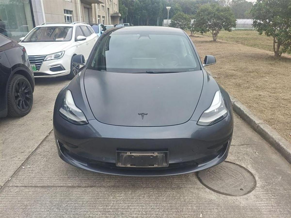 特斯拉 Model 3  2019款 標(biāo)準(zhǔn)續(xù)航后驅(qū)升級(jí)版圖片