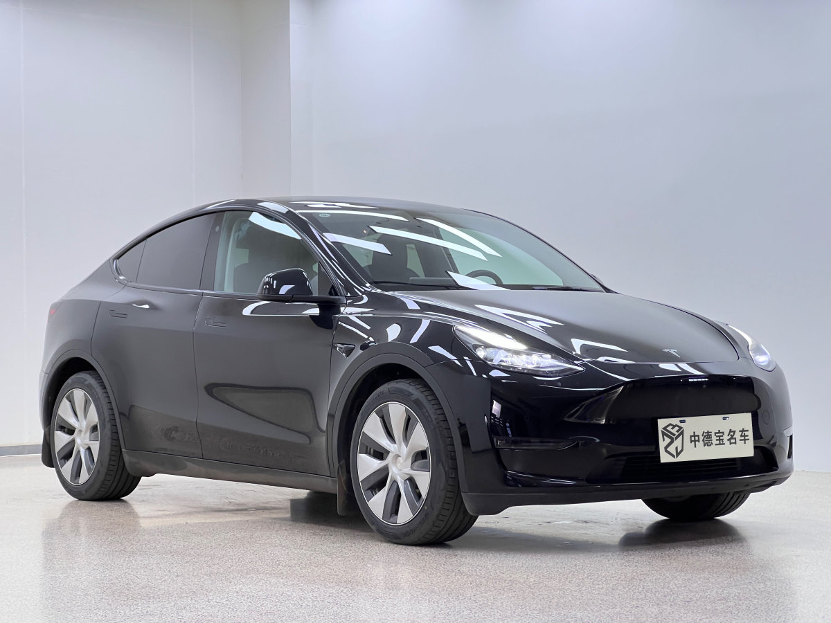 特斯拉 Model Y  2021款 改款 標(biāo)準(zhǔn)續(xù)航后驅(qū)升級(jí)版圖片