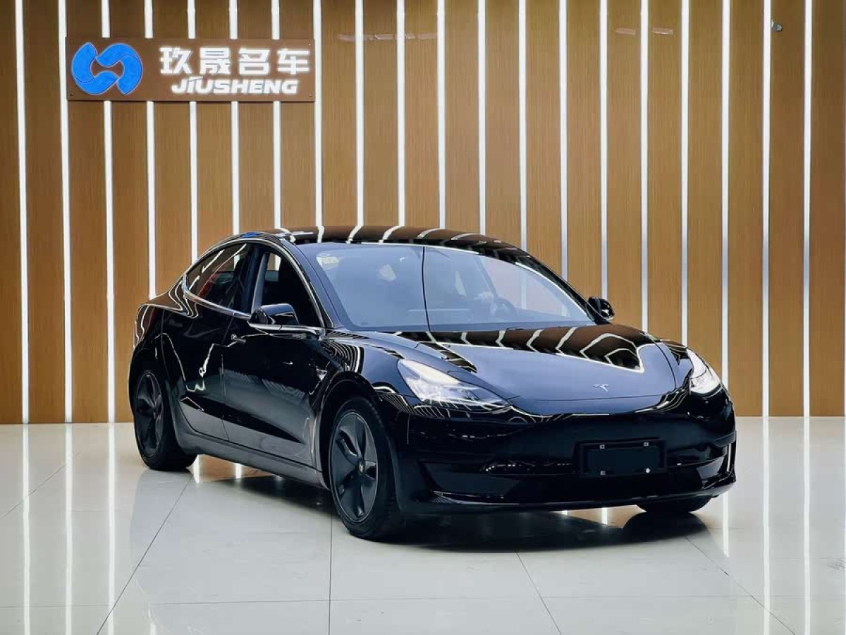 特斯拉 Model 3  2019款 標(biāo)準(zhǔn)續(xù)航后驅(qū)升級(jí)版圖片