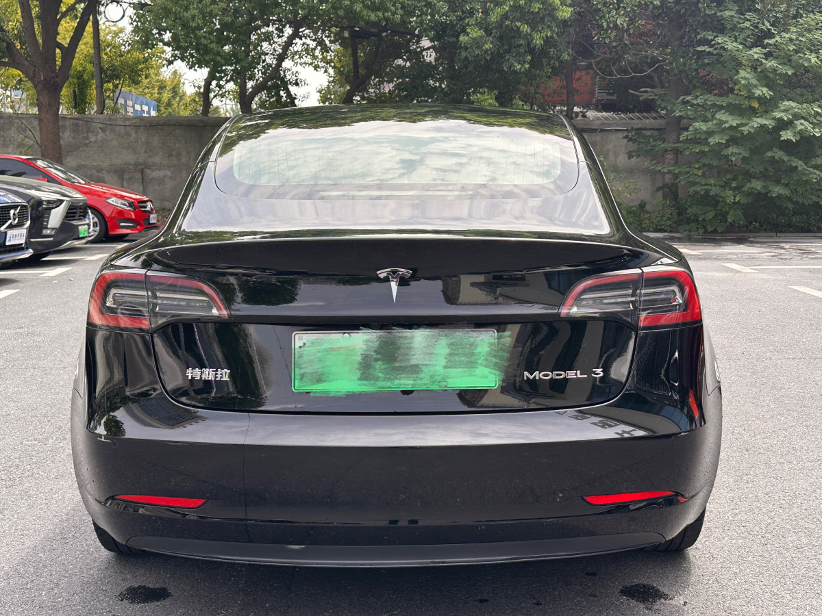 特斯拉 Model 3  2019款 標準續(xù)航后驅(qū)升級版圖片