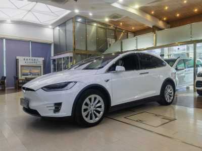 2019年3月 特斯拉 Model X Model X 100D 长续航版图片