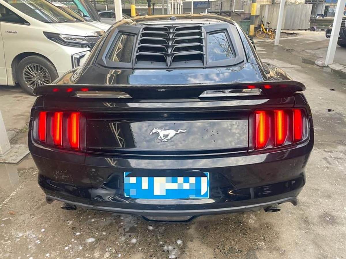 福特 Mustang  2015款 2.3T 性能版圖片