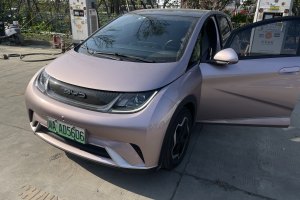 海豚 比亞迪 405km 時尚版