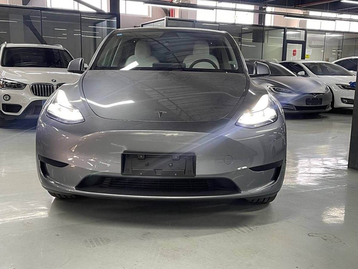 特斯拉 Model 3  2020款 改款 長續(xù)航后輪驅(qū)動版圖片