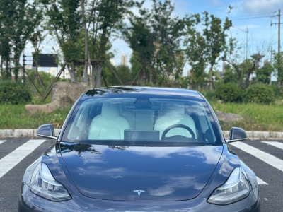 2019年06月 特斯拉 Model 3 长续航后驱版图片