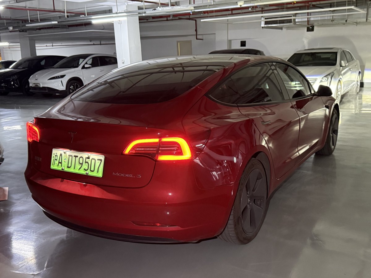 特斯拉 Model 3  2019款 標準續(xù)航后驅升級版圖片