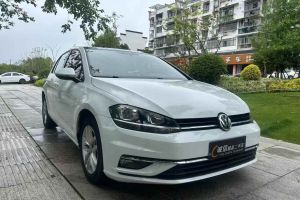 高爾夫 大眾 1.6L 自動(dòng)時(shí)尚型