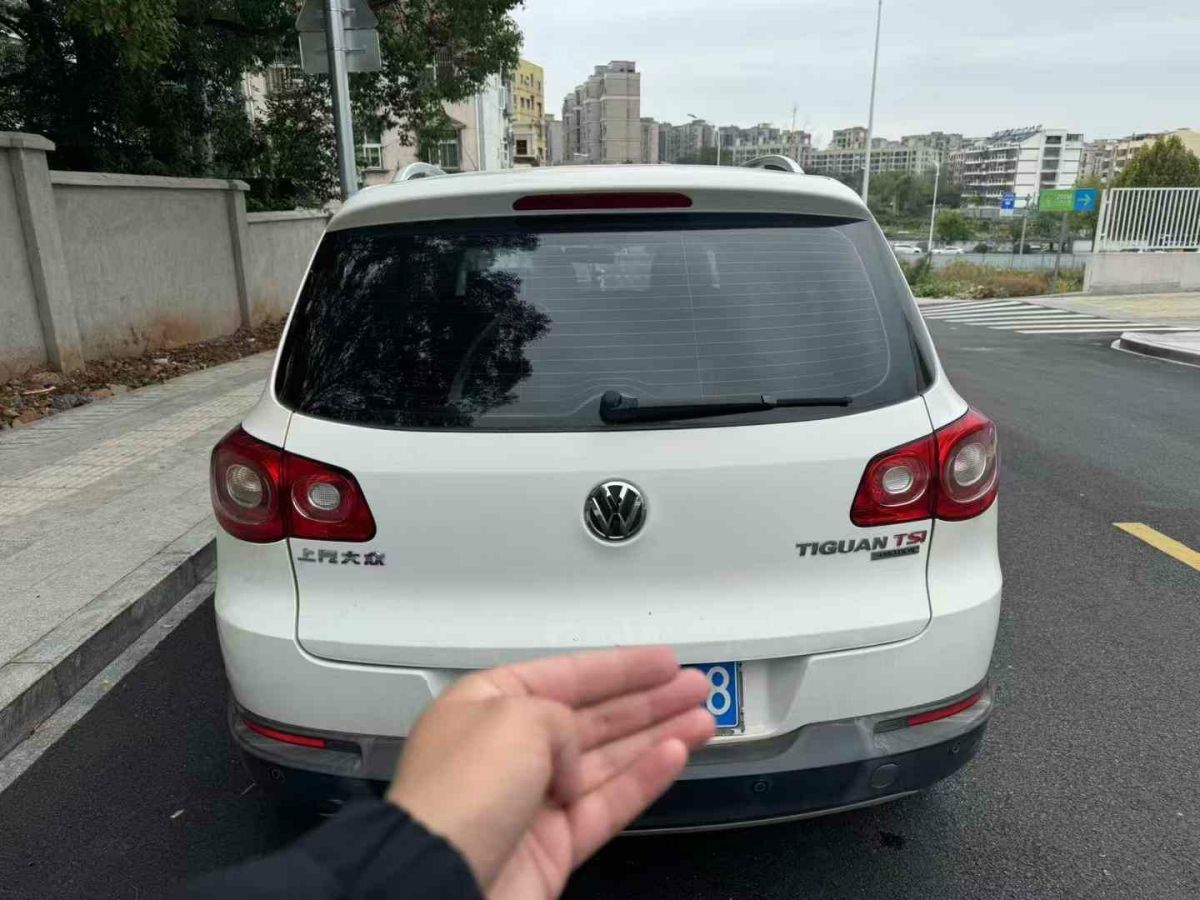 大眾 途歡  2012款 2.0 TDI 舒適版圖片