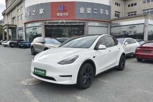 Model Y 特斯拉 长续航焕新版 双电机全轮驱动