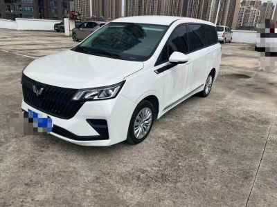 2024年1月 五菱 五菱繽果PLUS 330km 五座版圖片