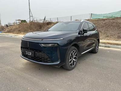 2024年4月 WEY 拿鐵DHT-PHEV 1.5T 四驅(qū)超大杯圖片