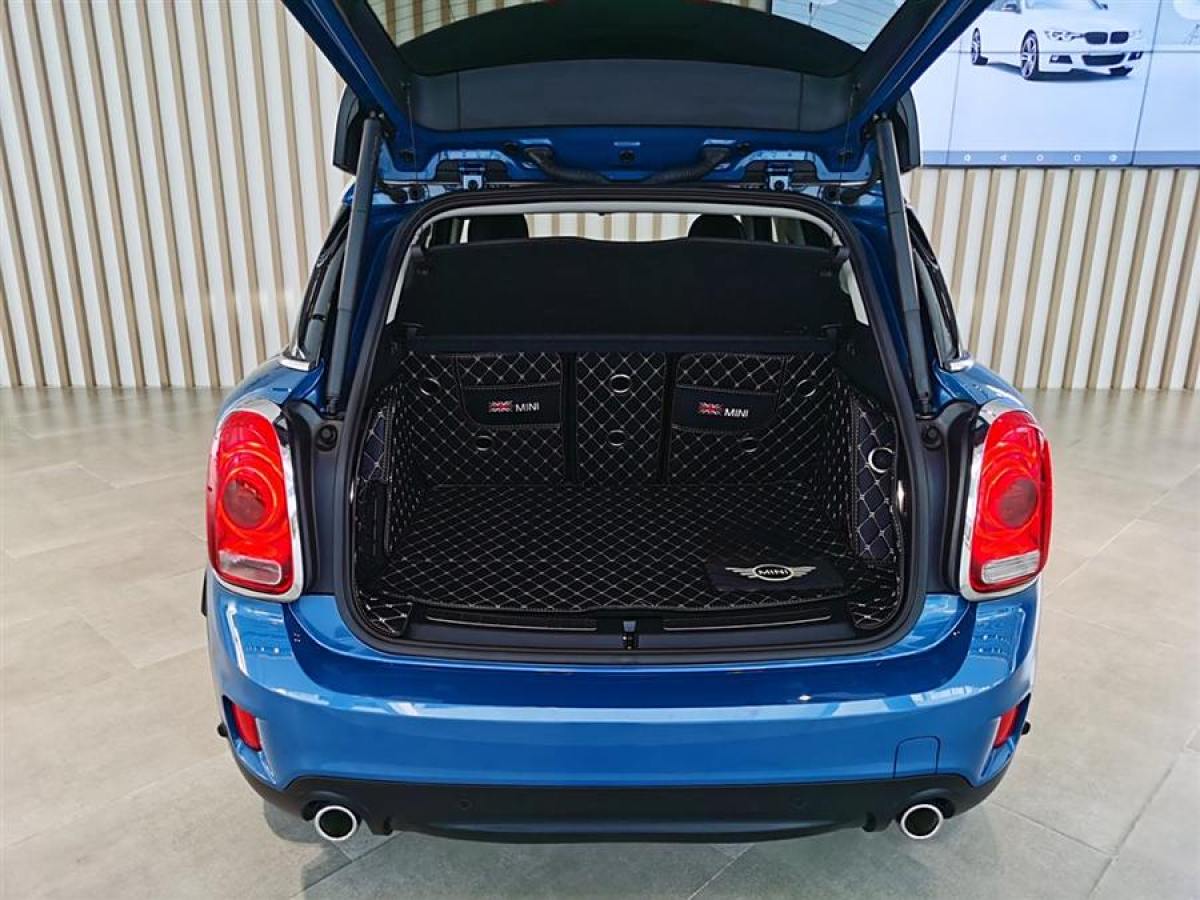 MINI COUNTRYMAN  2019款 2.0T COOPER S ALL4 藝術(shù)家圖片