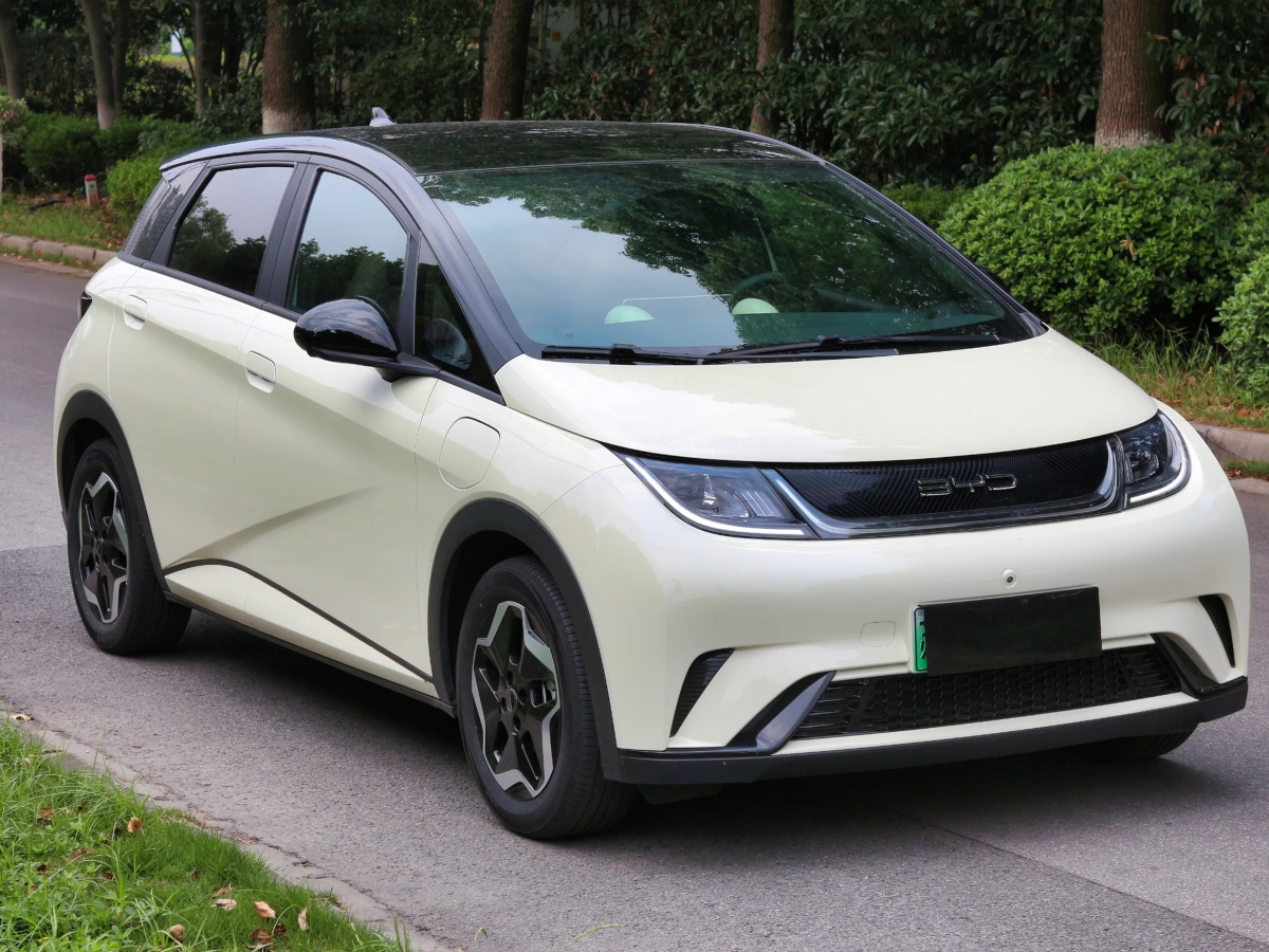 比亞迪 海豚  2021款 405km 時(shí)尚版圖片
