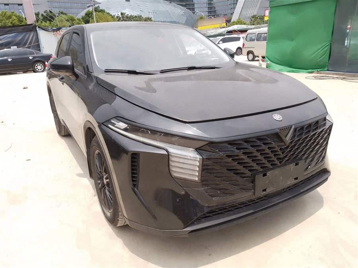 啟辰 啟辰大V  2022款 260T 黑馬版?愛(ài)豆圖片
