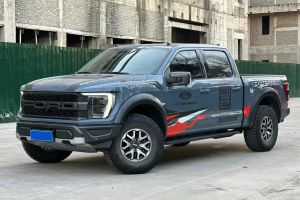 F-150 福特 3.5T 猛禽傲雪冰暉特別版