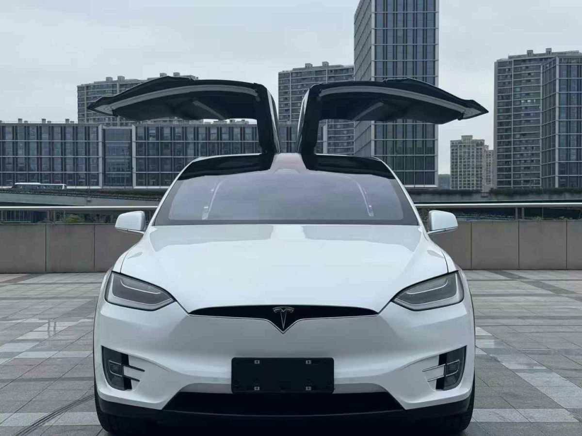 特斯拉 Model X  2019款 Performance 高性能版圖片