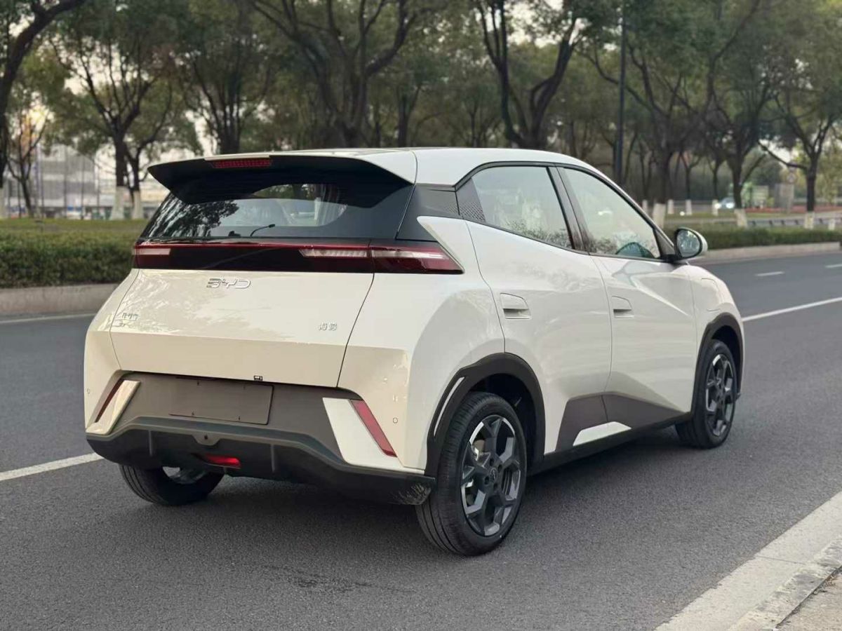 比亞迪 宋L DM-i  2024款 112km 超越型圖片