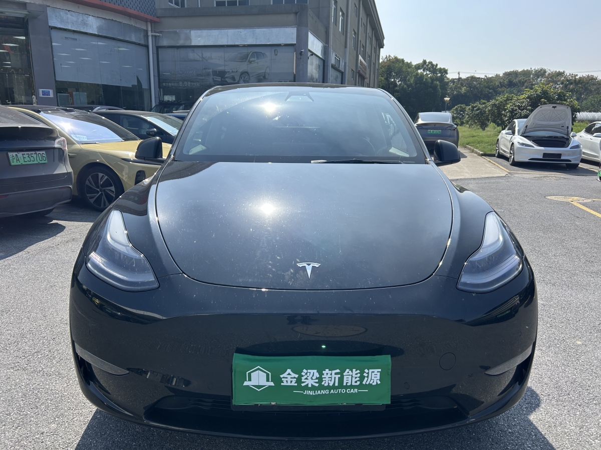 2022年6月特斯拉 Model Y  2023款 長(zhǎng)續(xù)航煥新版 雙電機(jī)全輪驅(qū)動(dòng)